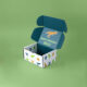 Packaging Box
